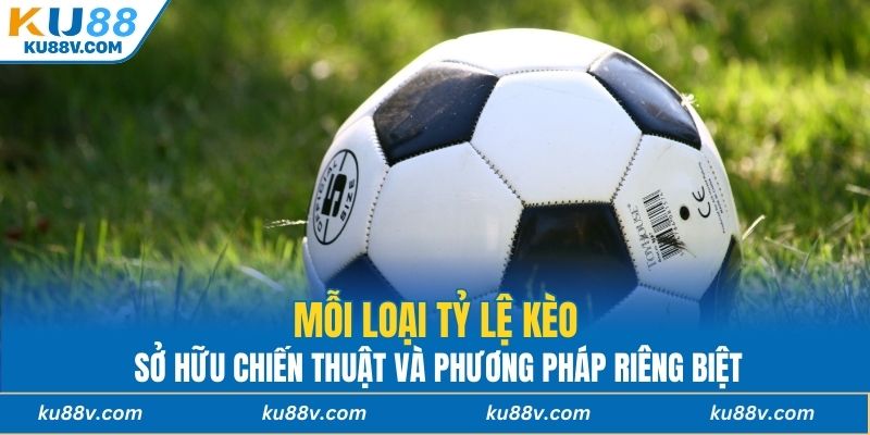 Mỗi loại sở hữu chiến thuật và phương pháp riêng biệt